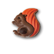 Chocolate Squirrel