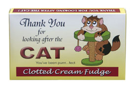 Thank You for looking after my cat