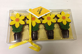 Milk Chocolate Daffodils